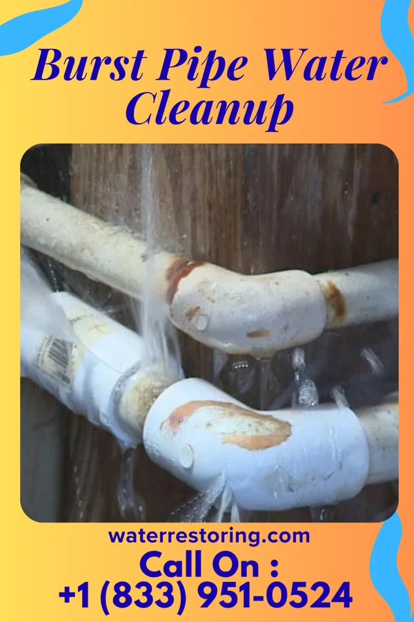 Burst Pipe Water Cleanup in White Oak, MO