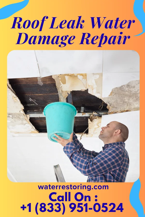 Roof Leak Water Damage Repair in White Oak, MO